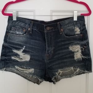 NWOT Cult of Individuality Distressed Denim Shorts